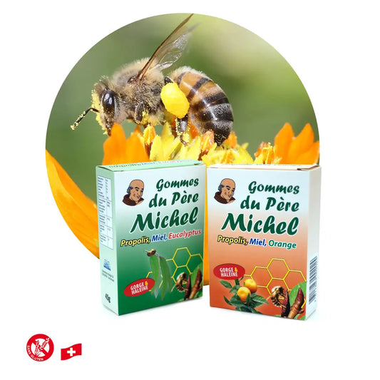Gommes du Pére Michel - Eucalyptus